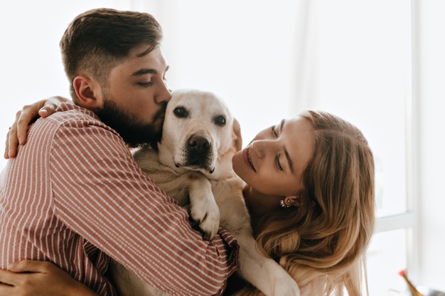 romantic-couple-good-mood-plays-hugs-white-dog-man-kisses-his-labrador-against-window_197531-13722